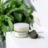 Masque visage aux plantes – Image 2